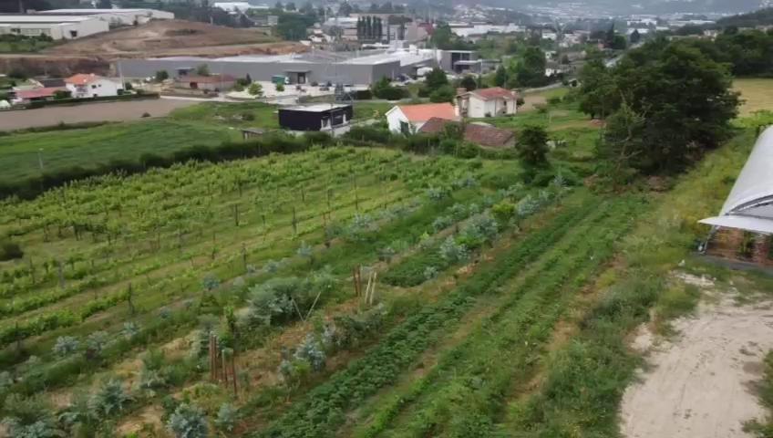 Quinta Do Pinheiro Villa Guimaraes Luaran gambar